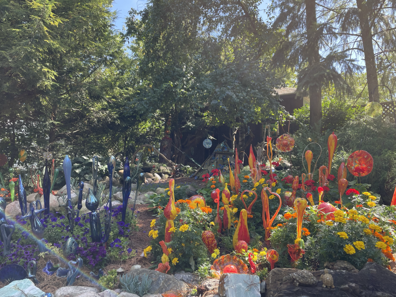 Larry Nisson's Ann Arbor garden.