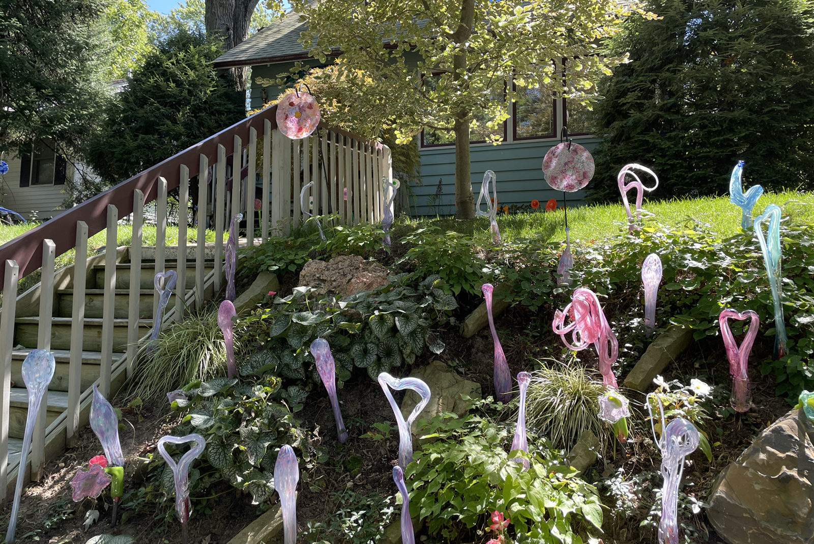 Larry Nisson's Ann Arbor garden.