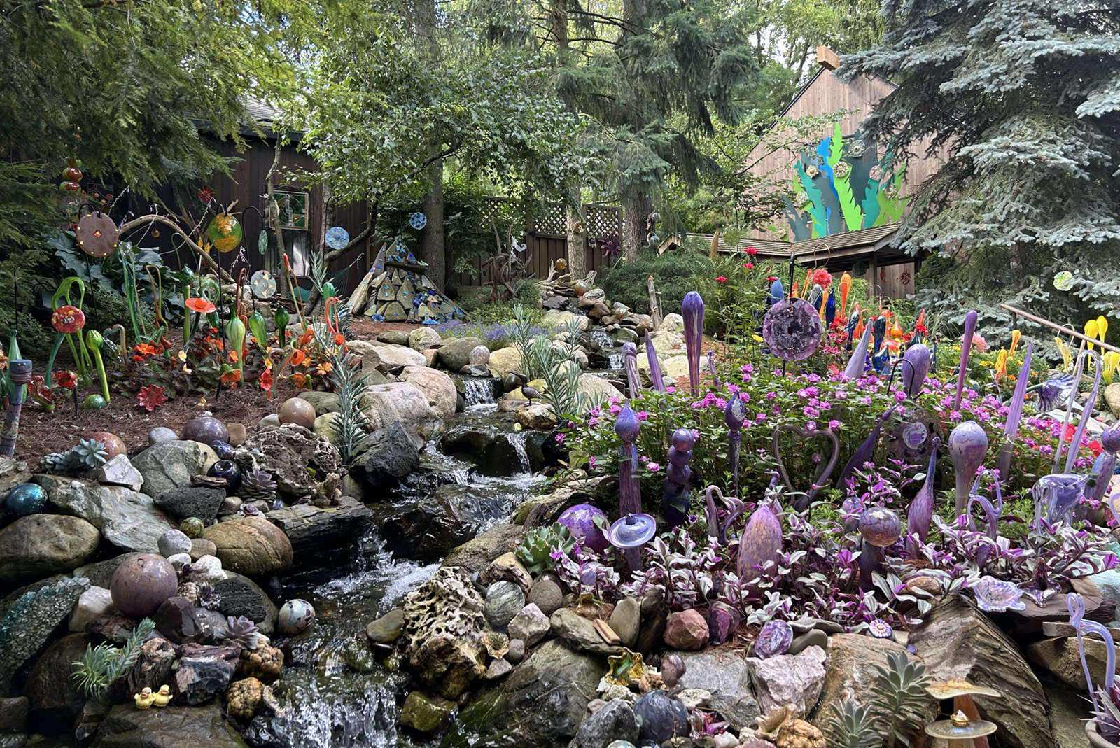 Larry Nisson's Ann Arbor garden.