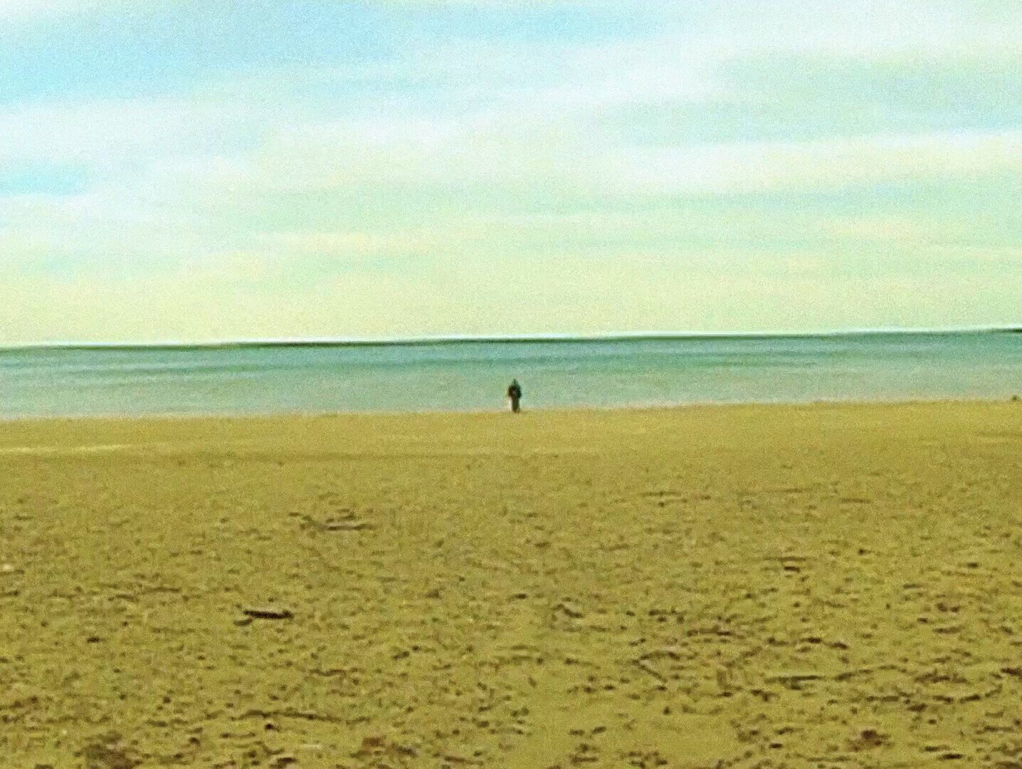 A still from "Velleity."