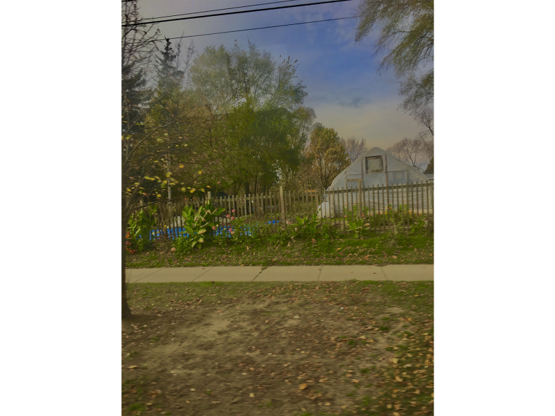 Djaka Kaba's photo of the garden at Growing Hope.