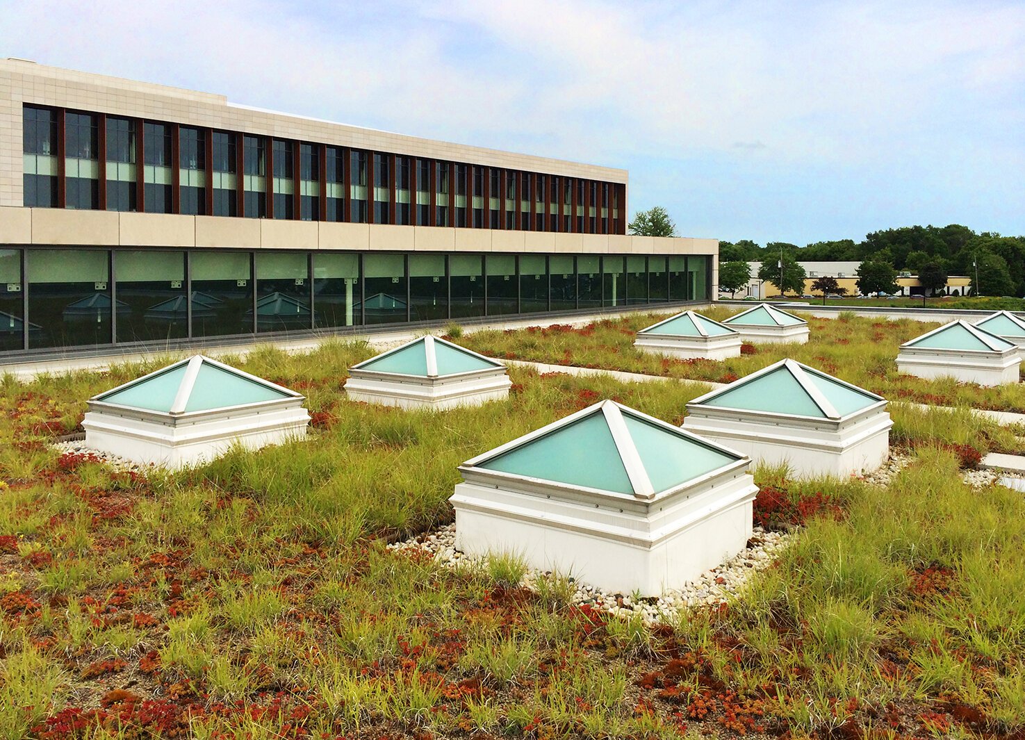 This green roof is an example of green stormwater infrastructure at corporate headquarters of Johnson Controls, Inc. in Glendale, Wisconsin