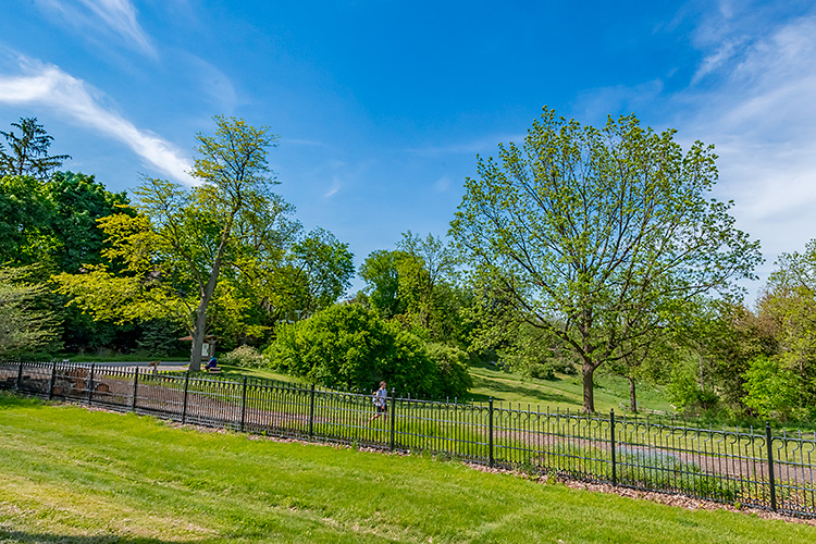 Nichols Arboretum.