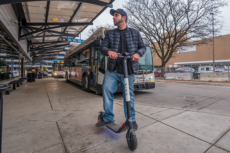 A Bird at the Blake Transit Center