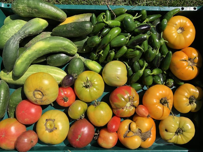 Produce from the Buckley Community Garden.