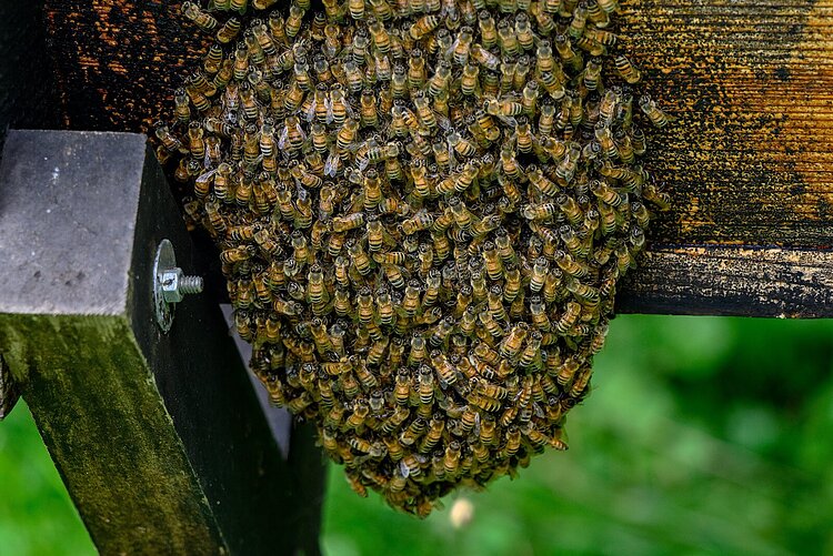 A beehive at the Michigan Folk School.