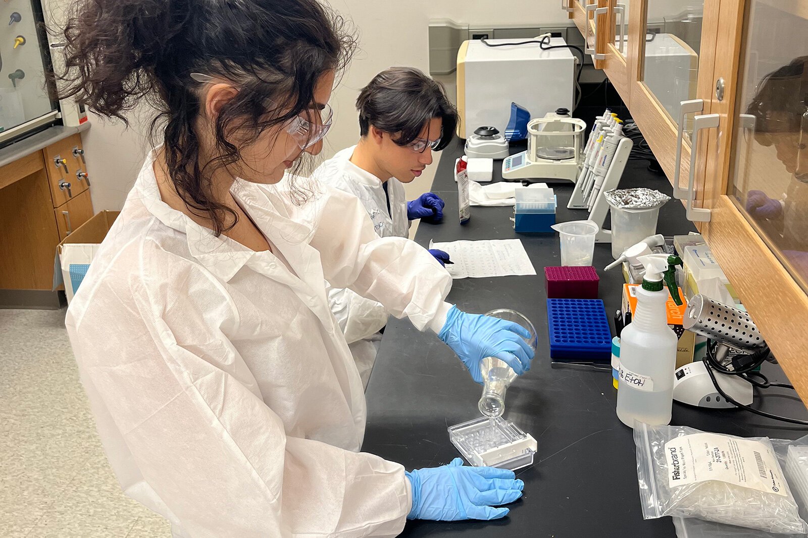 University of Michigan Synthetic Biology Team members working in the lab.