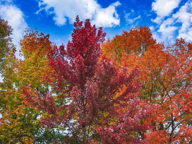 Parker Mill County Park.