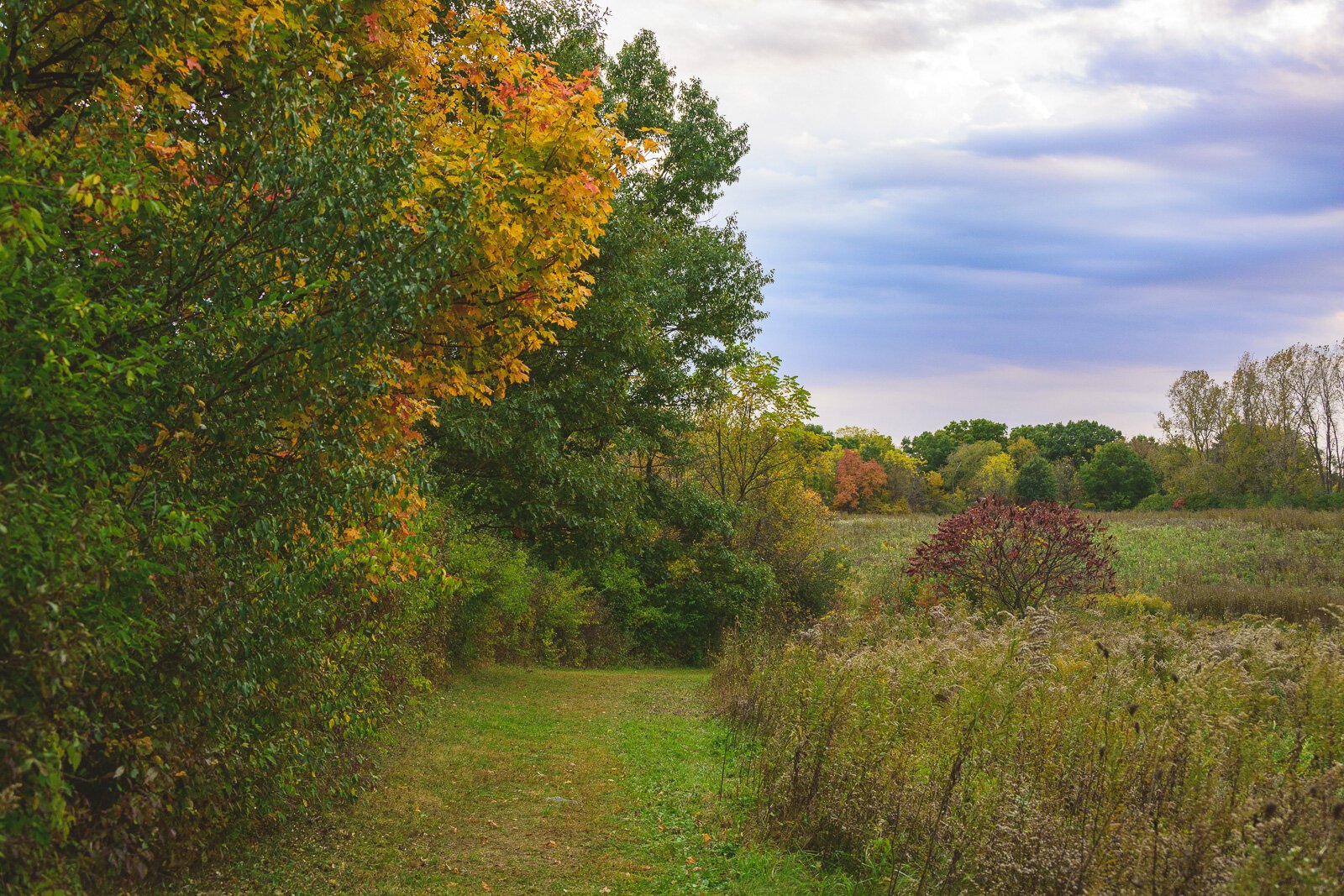 Kosch Headwaters Preserve.
