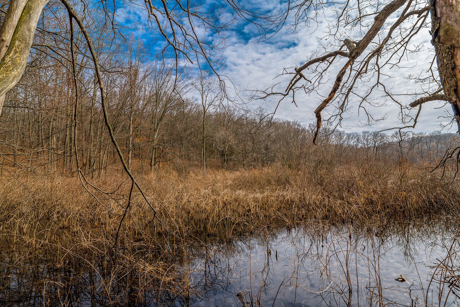 Park Lyndon North in late winter.