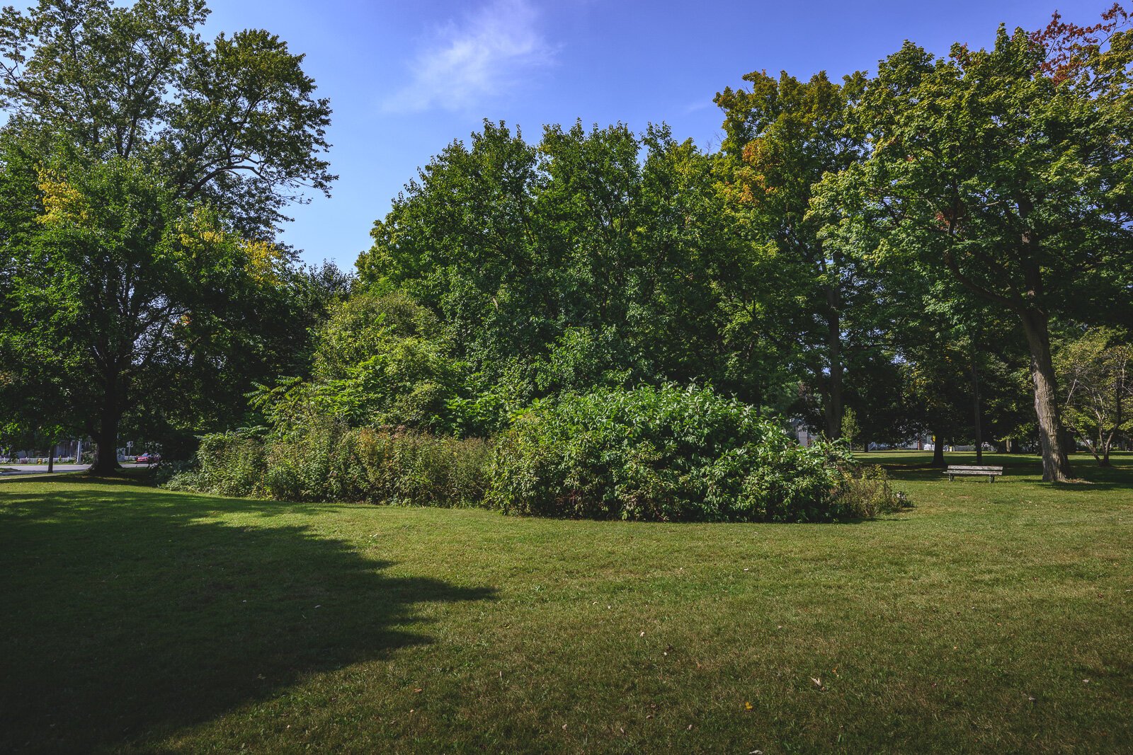 The former Luna Lake location in Ypsilanti's Prospect Park.