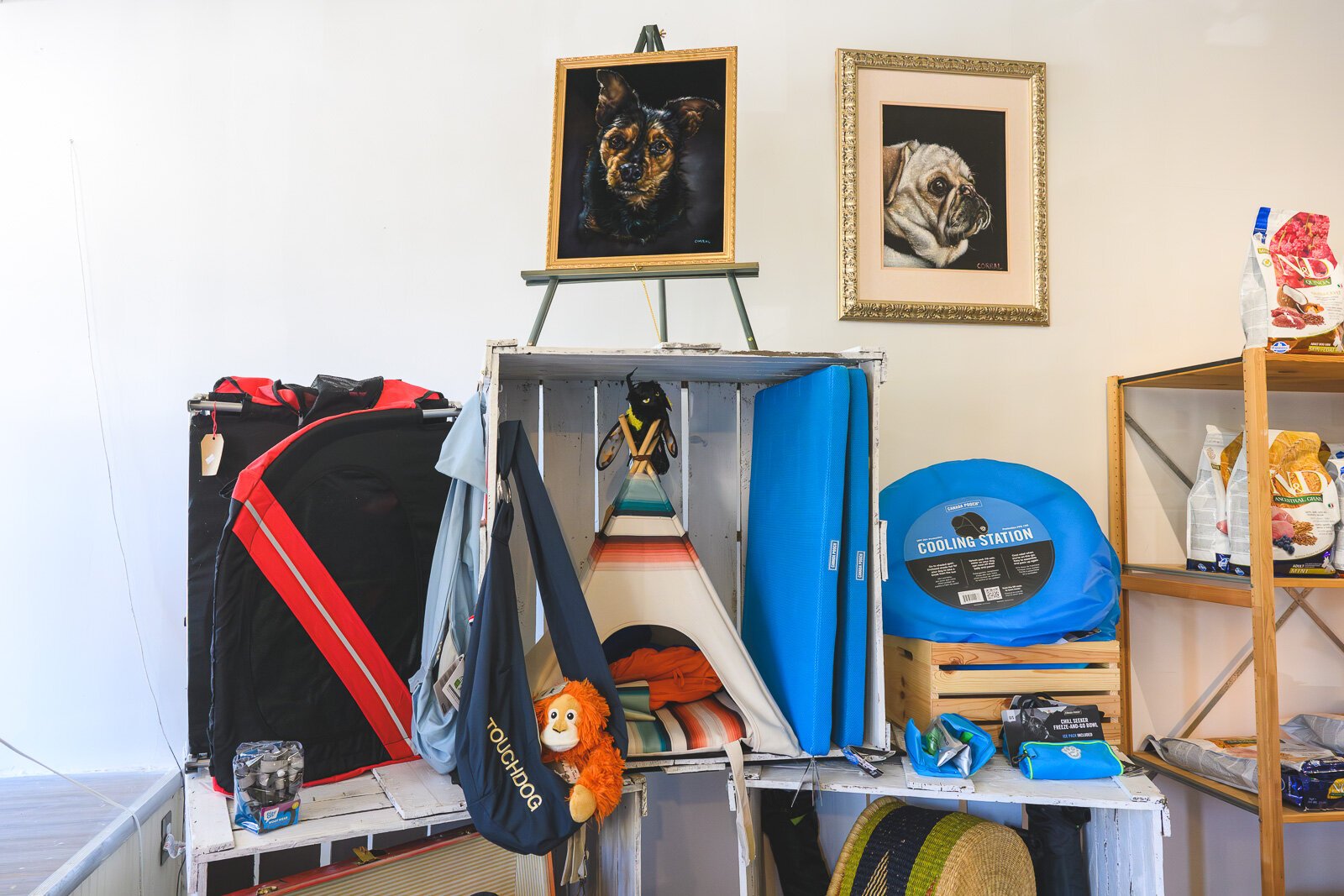 Depot Town Cats and Dogs.