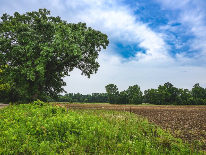 Feral Flora Farm in Ann Arbor.