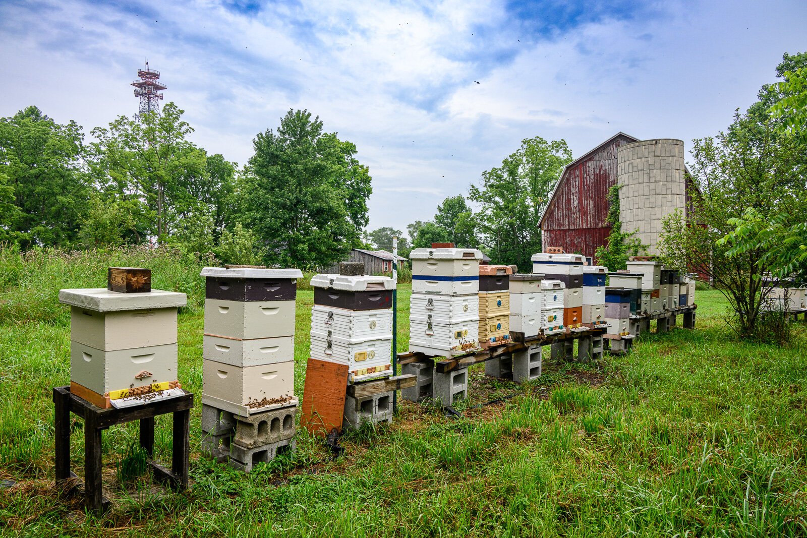 Beehives at Conant Farm in Salem Township.