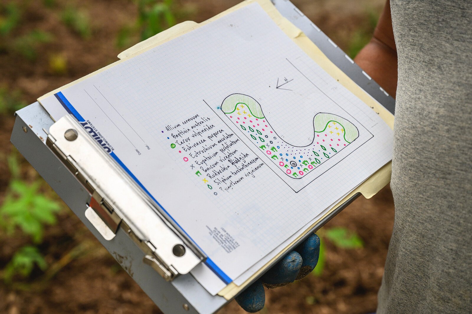 Adapt Landscapes planting a garden in Ann Arbor.