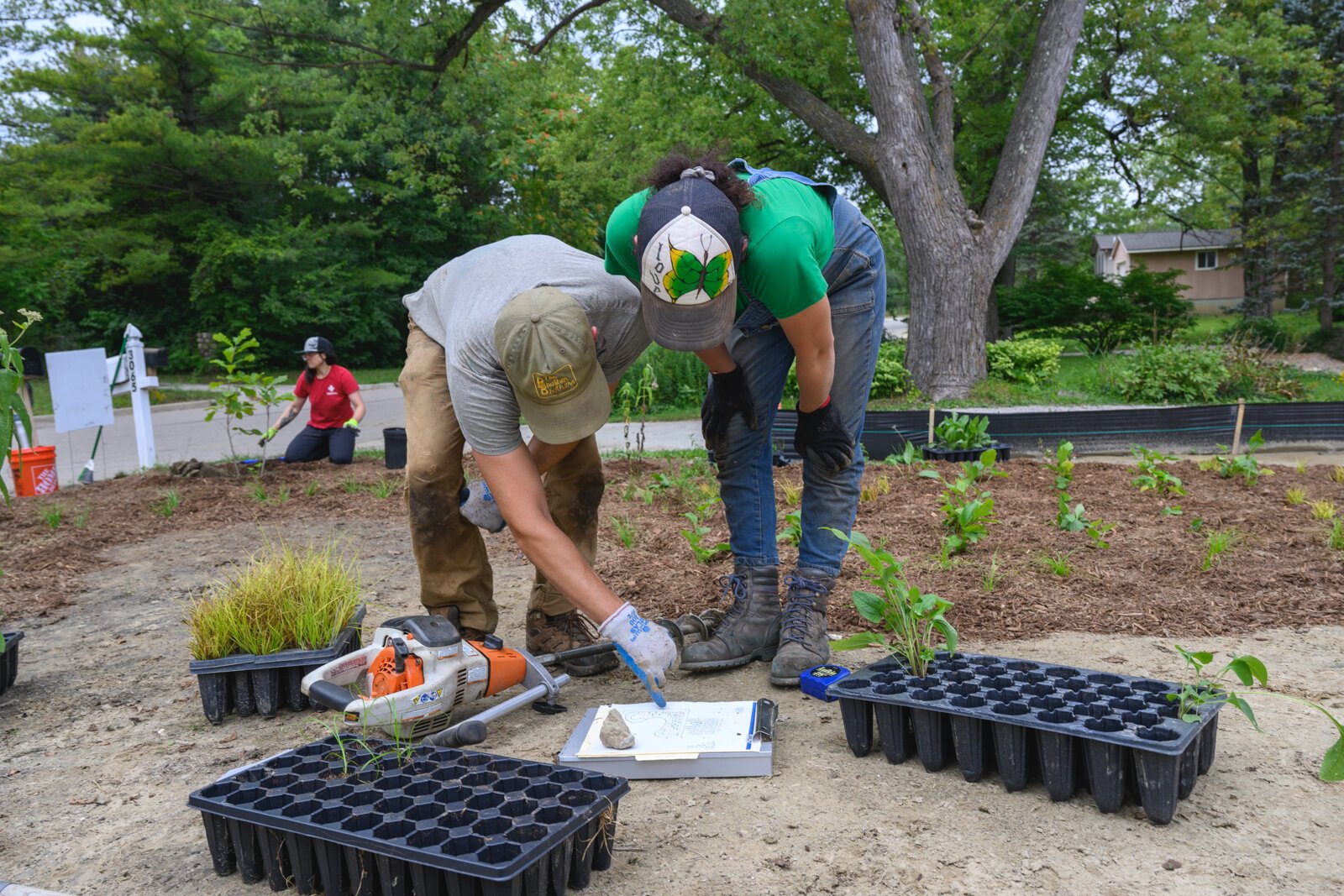 Adapt Landscapes planting a garden in Ann Arbor.