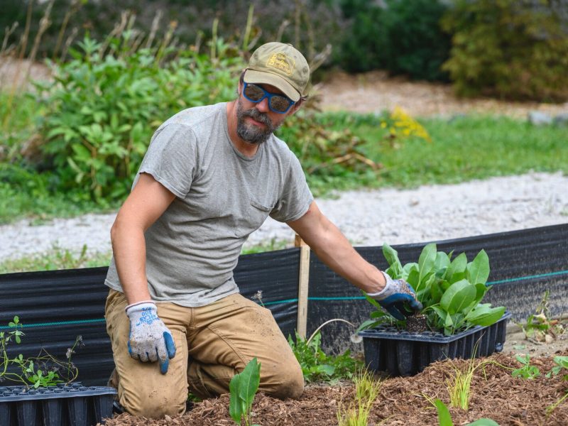 Adapt Landscapes planting a garden in Ann Arbor.