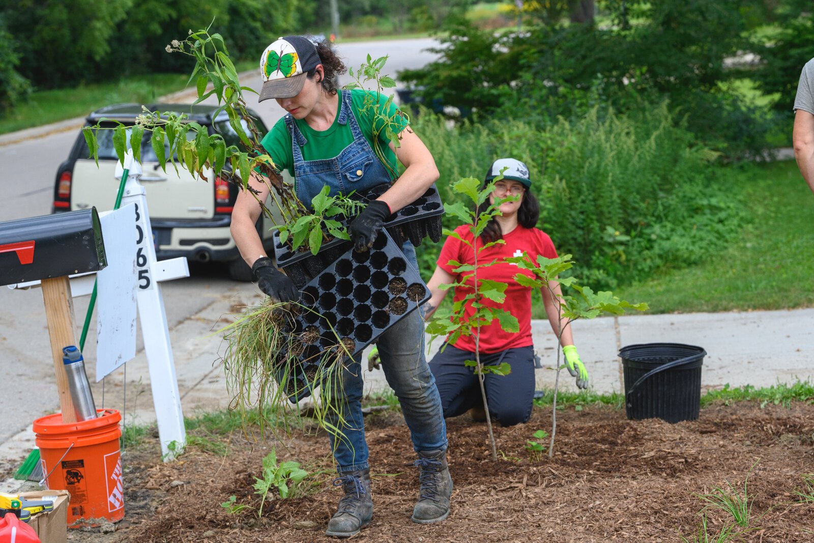 Adapt Landscapes planting a garden in Ann Arbor.