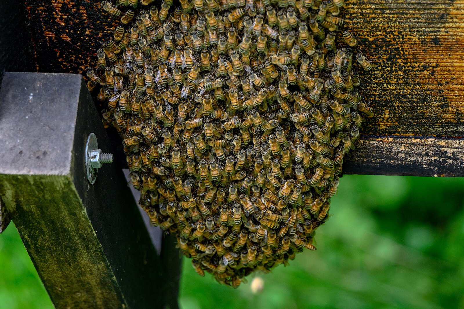 A beehive at the Michigan Folk School.