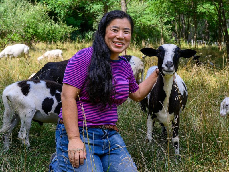 Yuko Frazier with some of her sheep.