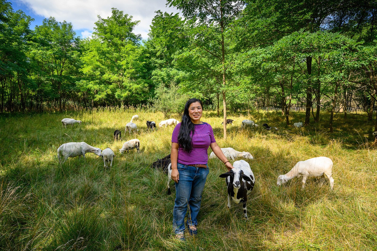 Yuko Frazier with some of her sheep.