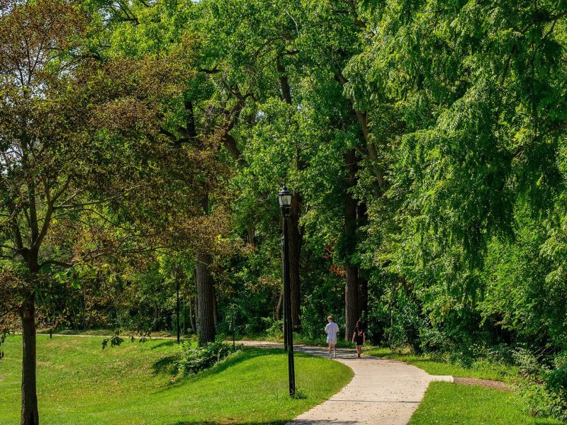 Frog Island Park in Ypsilanti.