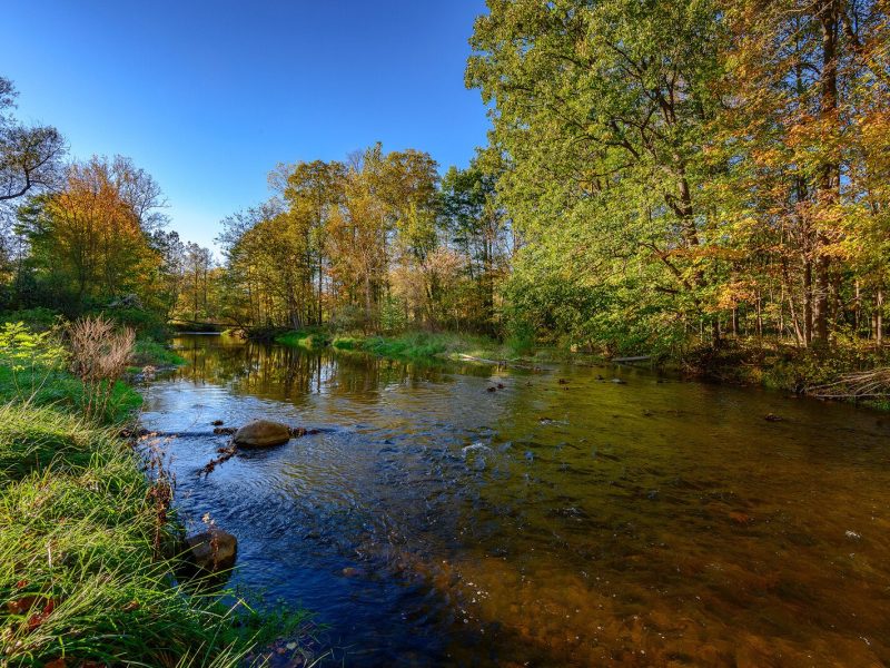 The North Branch of the Clinton River at Wolcott Mill Metropark.