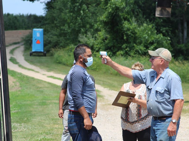 Belle Harvest farmer Tom Heffron checks a worker's temperature using a touchless thermometer.