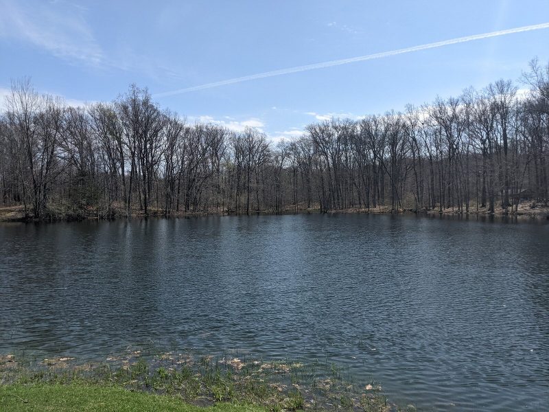 Newly preserved land in Sharon Township.