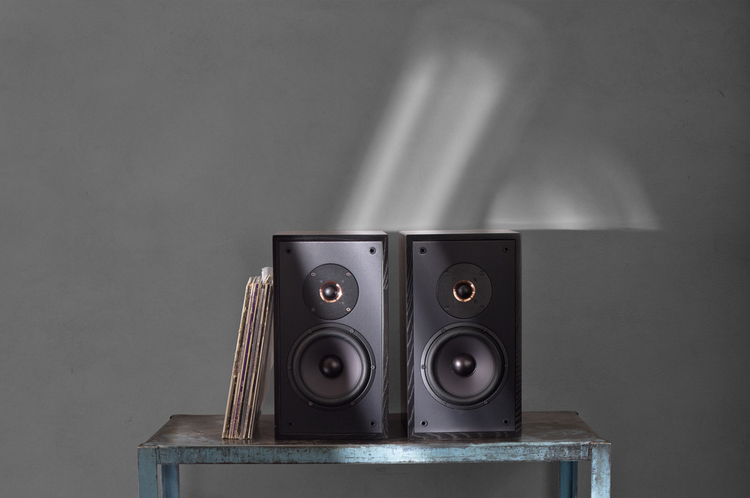 Leon Timbre MT bookshelf speakers.