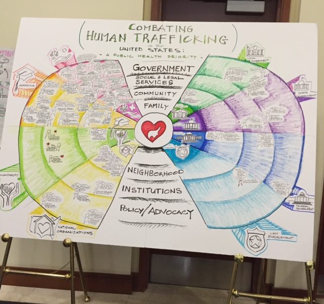 Diagram from a Florida human trafficking conference attended by Ann Arbor anti-trafficking activist Peg Talburtt.