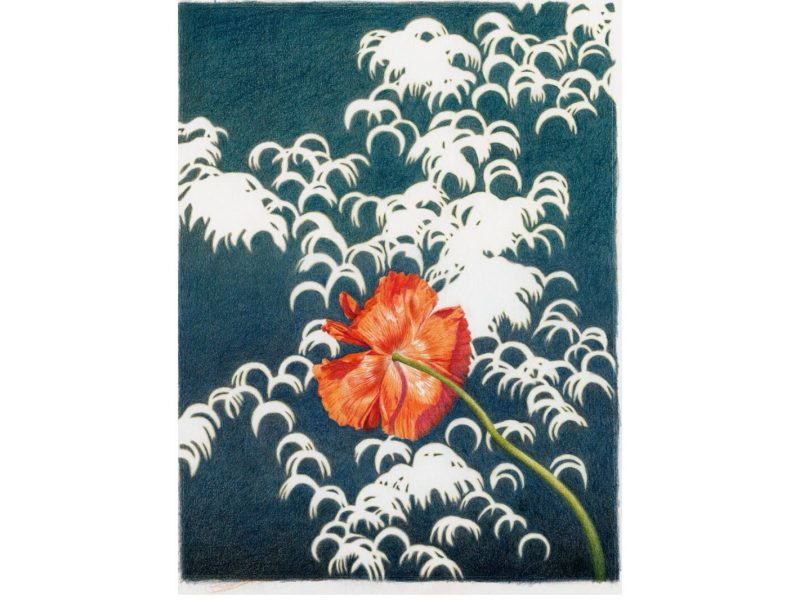 Ypsilanti artist Jessica Tenbusch will be one of 18 Washtenaw County artists featured in the forthcoming Studio Deals Midwest event.