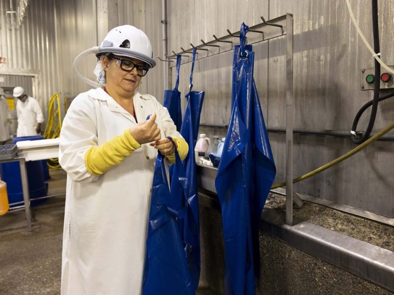 Michigan Turkey Producers employee Blanca Chaidez wears Taza Aya’s worker wearable protection equipment as she prepares for her work shift.