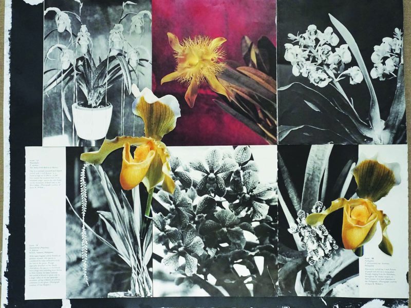 A submission to Groundcover News' Visual Arts Contest.