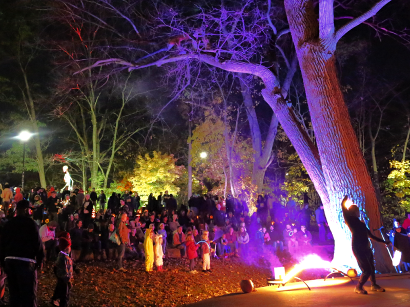 The All Hallows Illumination at Frog Island Park in Ypsilanti.