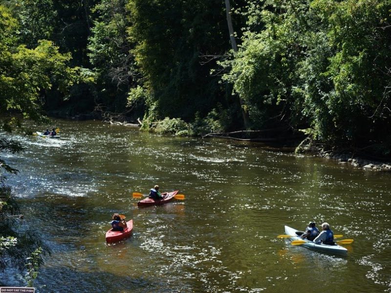 Kayakers on the Huron River during Fall River Day.