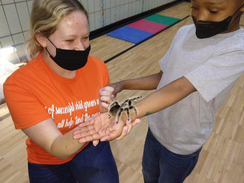 Families had the chance to meet tarantulas and turtles, courtesy of the Creature Teacher.