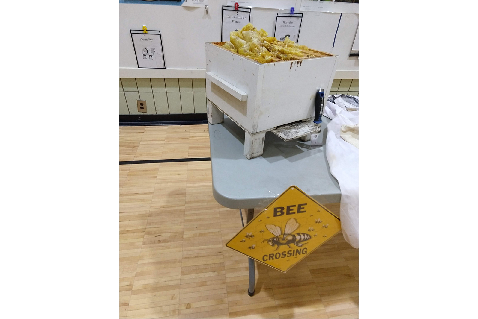 Various community groups offered booths with resources, activities, and information about food and nature, including a chance to see a beehive up close.