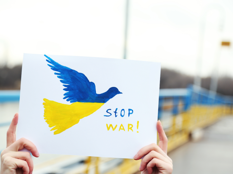 Ukraine Relief Benefit Ann Arbor organizers purchased this image from MiniMoms Etsy shop, a collaborative of moms in Dnipro, Ukraine, trying to get their message across.