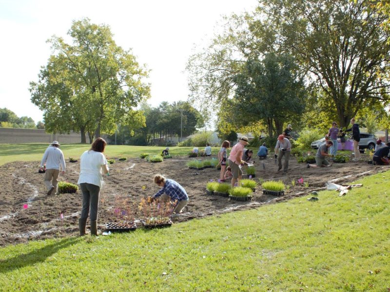 Volunteers plant a native wildflower garden at Sugarbrook Park.