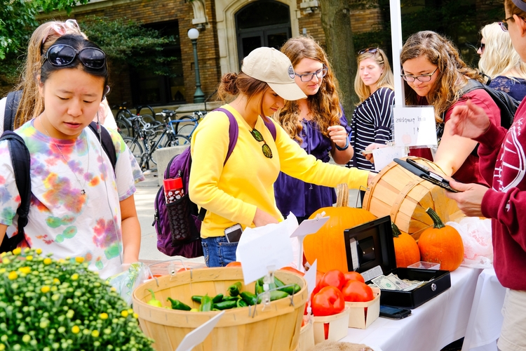 People shop at an M Farmers Market.