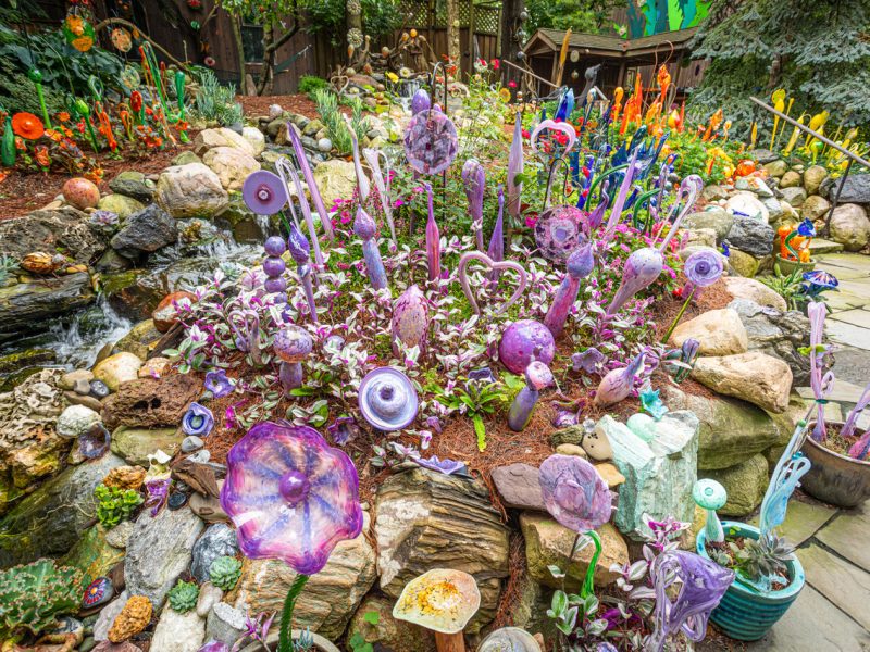 Larry Nisson's backyard garden in Ann Arbor.