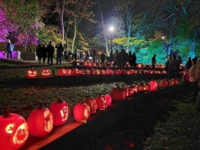Jack-o-lanterns arranged in Ypsilanti's Frog Island Park for the All Hallows Illumination of Frog Island.