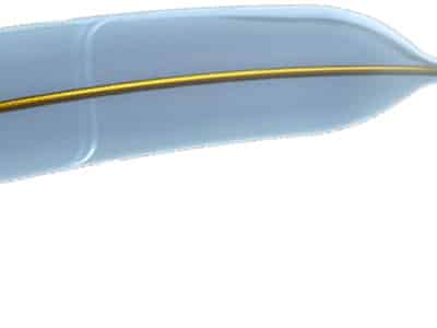 An illustration of the balloon catheter technology that Amplitude Vascular Systems (AVS) uses to break up calcium buildups in arteries.